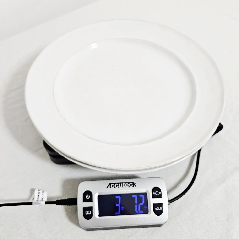 Pottery Barn Cambria Stone (2) Dinner Plates Handcrafted Rustic Trim White 10.7